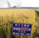 北安增效肥料