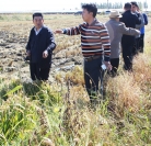 涿州增效肥料